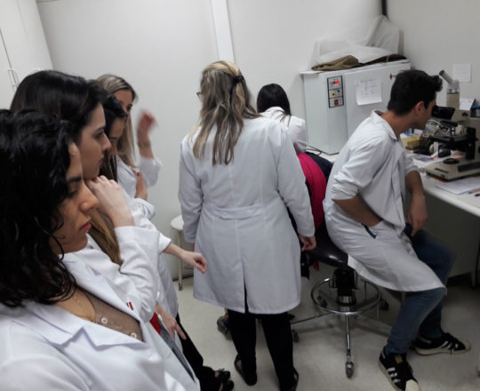 A Biomédica Fátima Morais,Colaboradora do CEADS e os Estagiários de DST, do mês de agosto de 2017 , durante a Revisão das Aulas Práticas de DST.