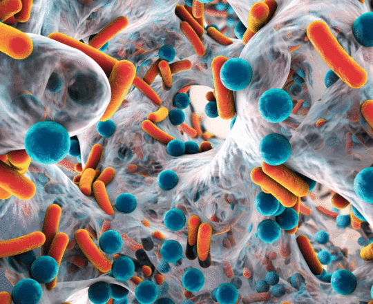 OMS: “Mundo está ficando sem opções para combater super bactérias”