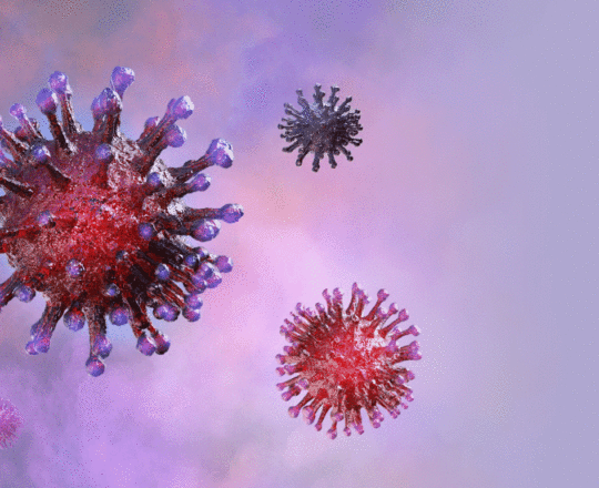 Cientista da USP desenvolve teste genético para vírus da febre hemorrágica.